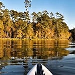 Lake Conroe Beach Park